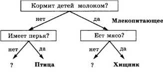 Реферат: Экспертная система по породам дерева